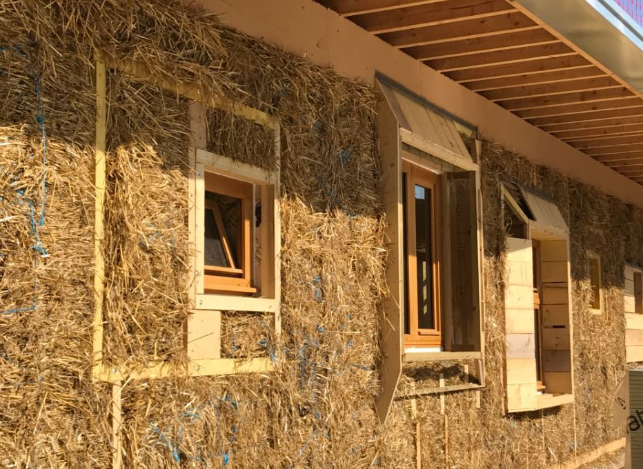 isolation ecologique